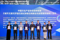 <strong>由中国文化财产协会正在第六届长三角国</strong>